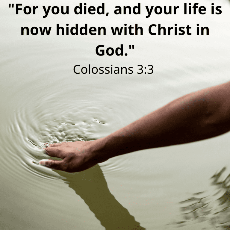 Colossians 3v3