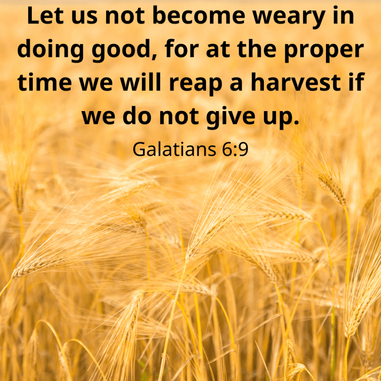 Let us not become weary in doing good, for at the proper time we will reap a harvest if we do not give up.