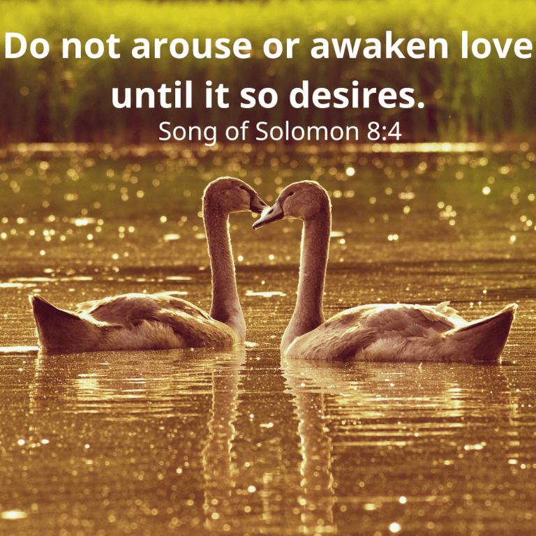 Do not arouse or awaken love until it so desires.