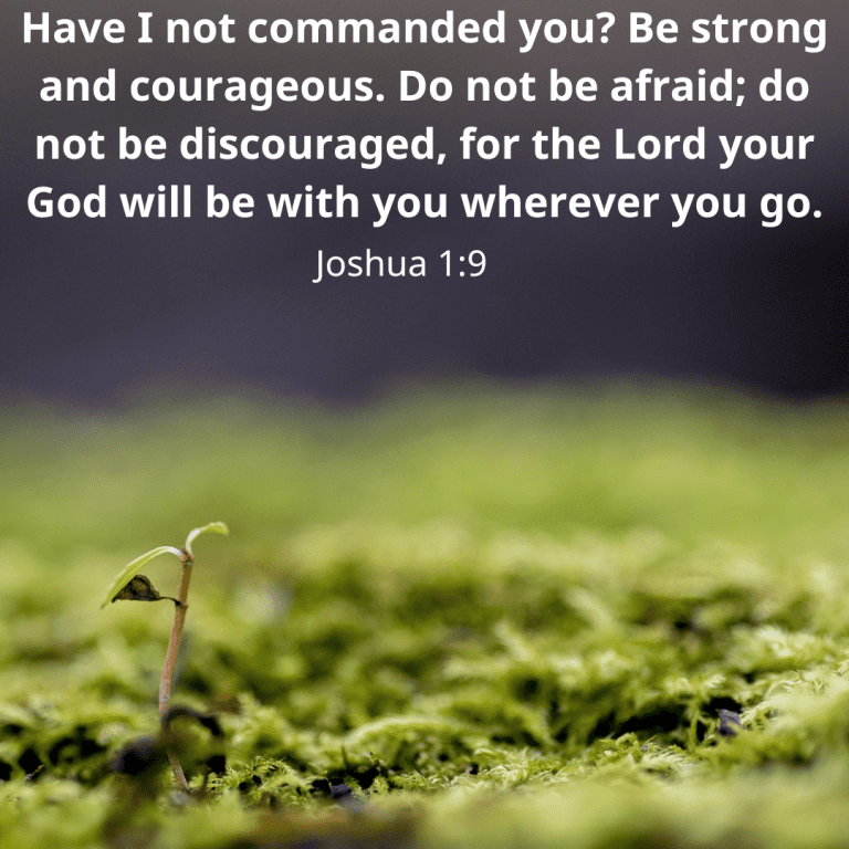 Have I not commanded you Be strong and courageous. Do not be afraid; do not be discouraged, for the Lord your God will be with you wherever you go.