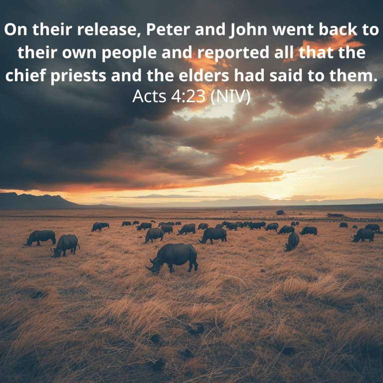 On their release, Peter and John went back to their own people and reported all that the chief priests and the elders had said to them.